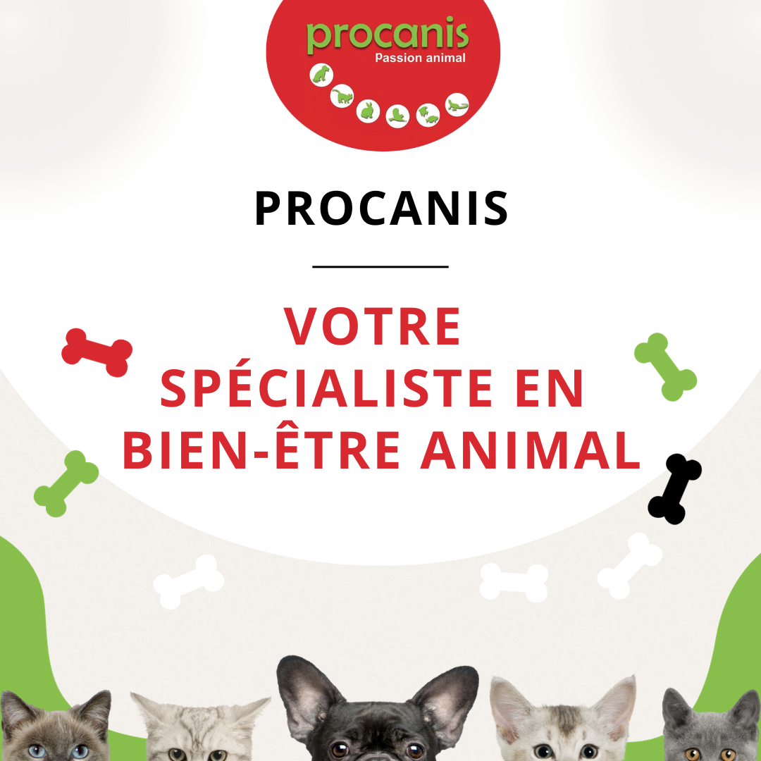 PROCANIS officialise sa position en tant que spécialiste en bien-être animal !