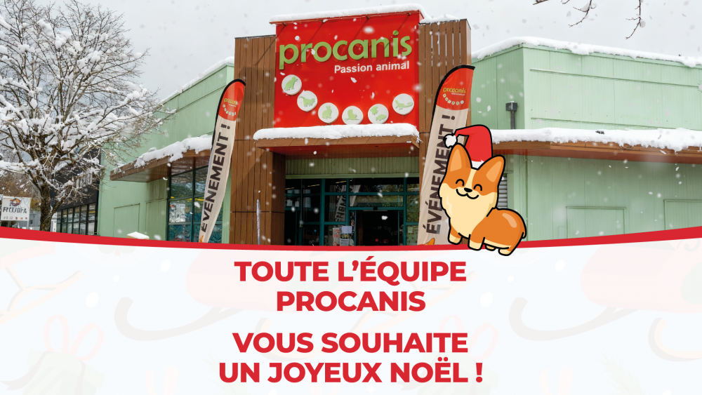 Joyeux Noel