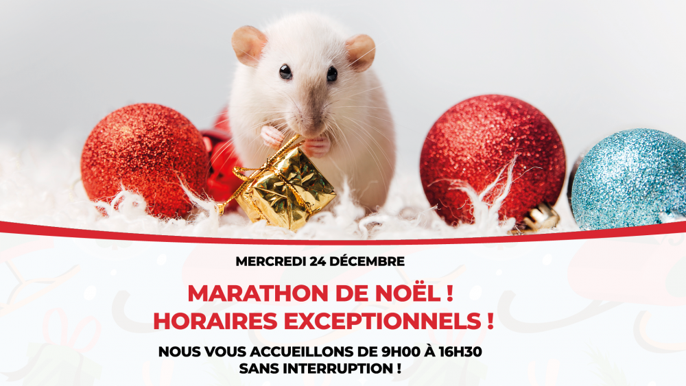 Marathon de Noel