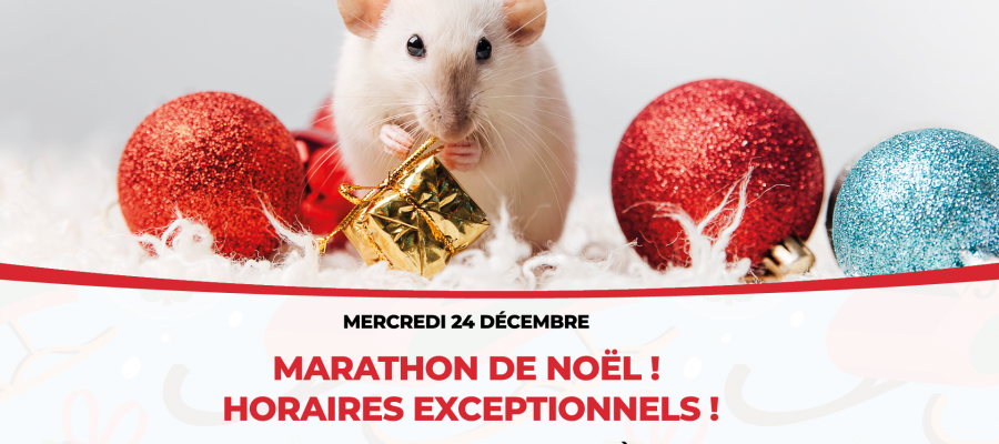 Marathon de Noel
