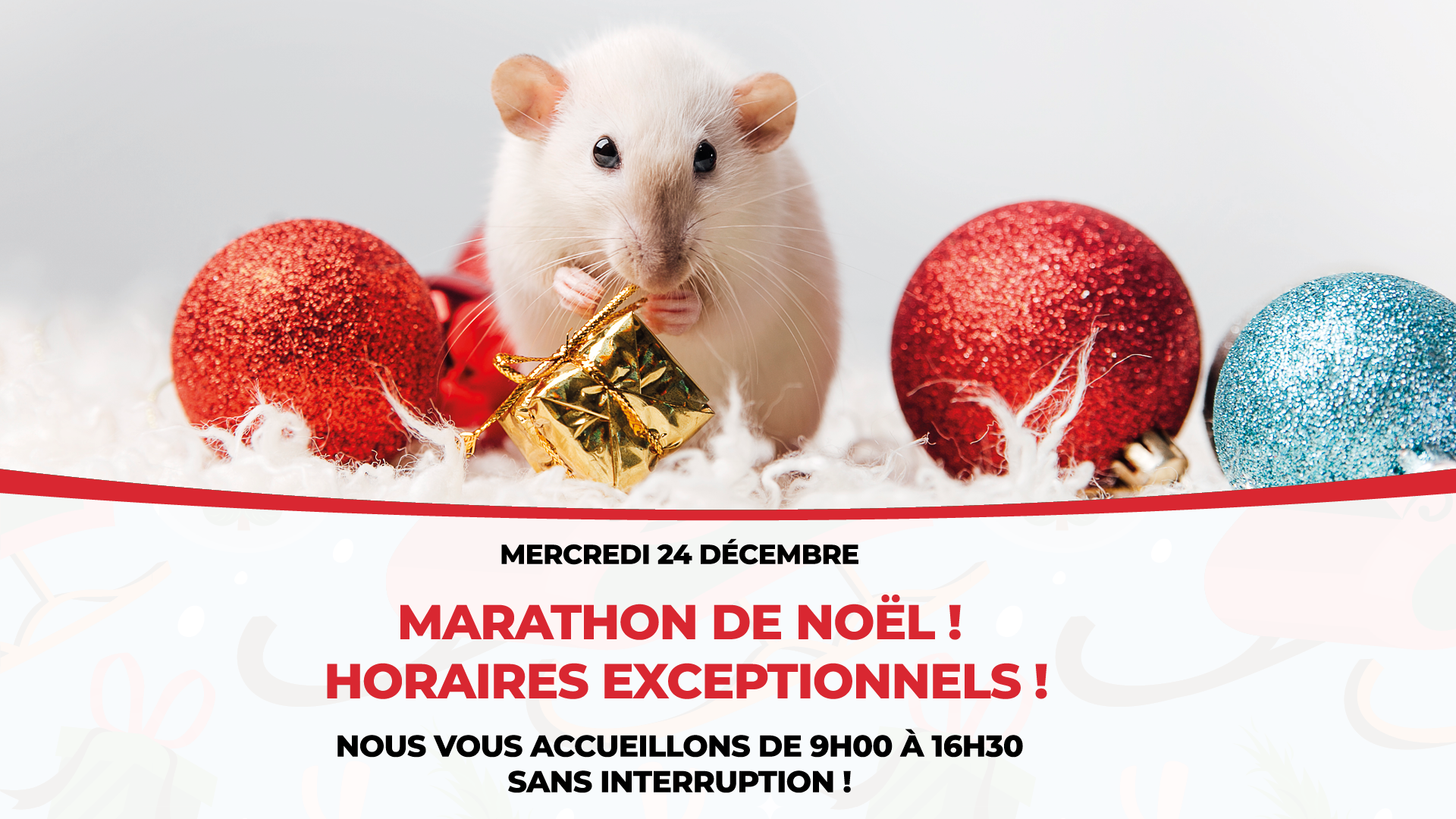 Marathon de Noel