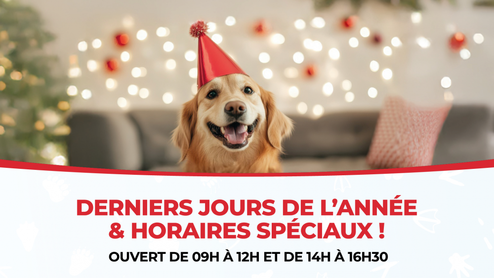 Derniers jours