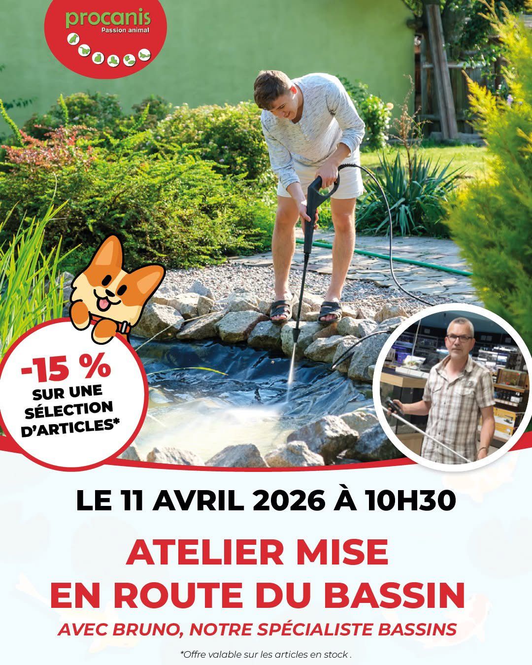 Procanis vous aide à la remise en route de votre bassin